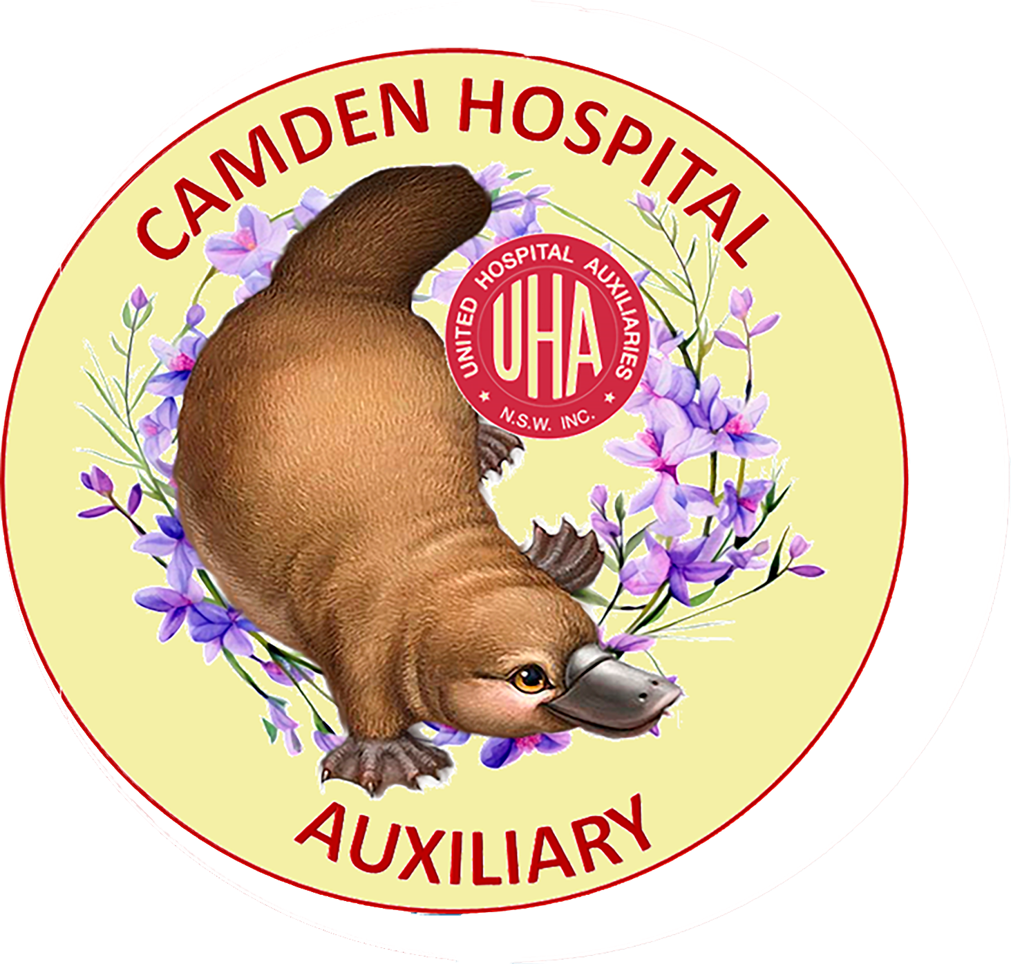 Camden Hospital Auxillary